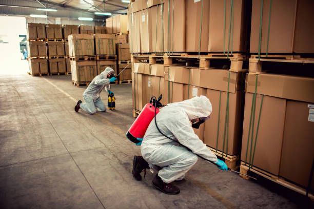 Trusted Pascagoula, MS Pest Control Experts