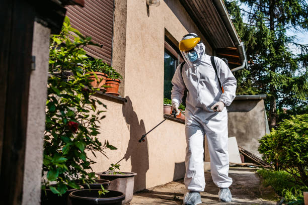 Best Pest Prevention Services  in Pascagoula, MS