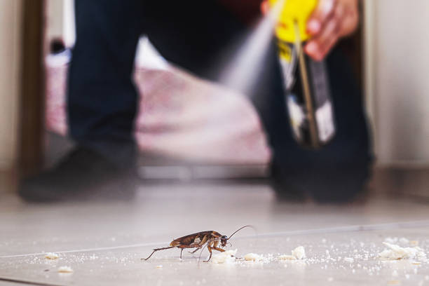 Professional Pest Control in Pascagoula, MS